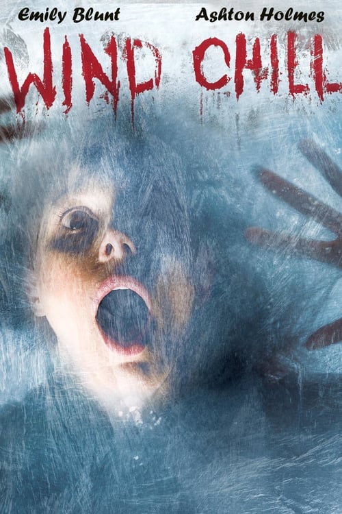 Wind Chill (2007) Dual Audio Full Movie {Hindi-English} BluRay 480p [332MB] | 720p [700MB] | 1080p [1.5GB]